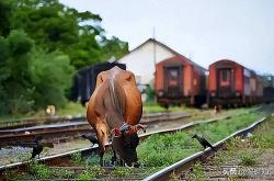 开云体育-印度队碾压丹麦队，辛杜统治全场