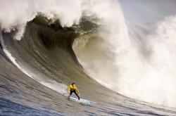 开云体育中国官网-联合杯横扫戴维斯杯，德约科维奇如何以惊艳表现重塑国家队赛事格局