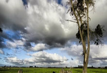 开云体育入口-德国网球队血洗美国网球队，梅德韦杰夫惊艳世界的简单介绍