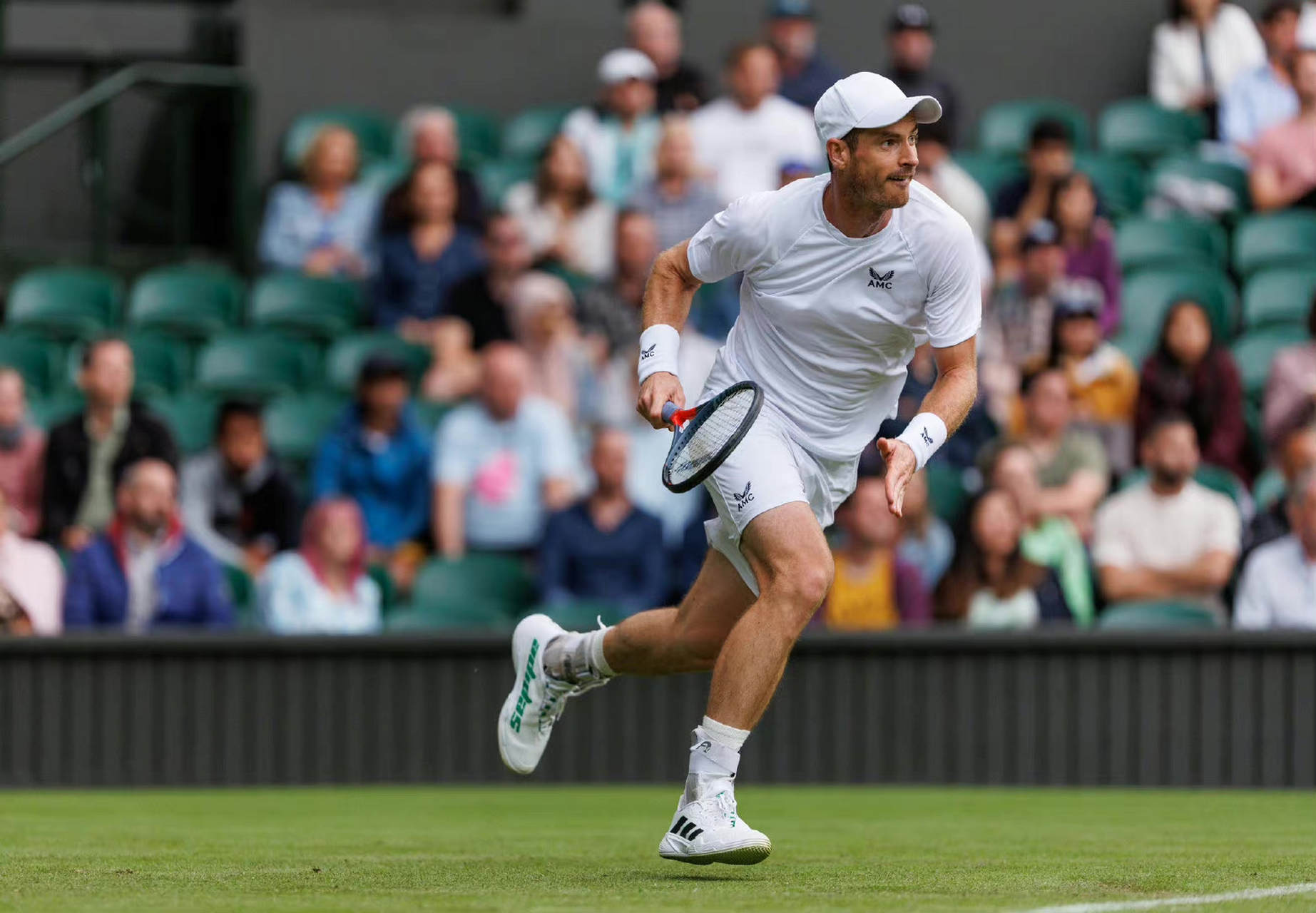 关于美国网球队绝地反击英国网球队，穆雷送出助攻的信息