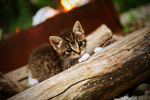加克波爆发破局，巴拉圭节奏大师掌控哥斯达黎加