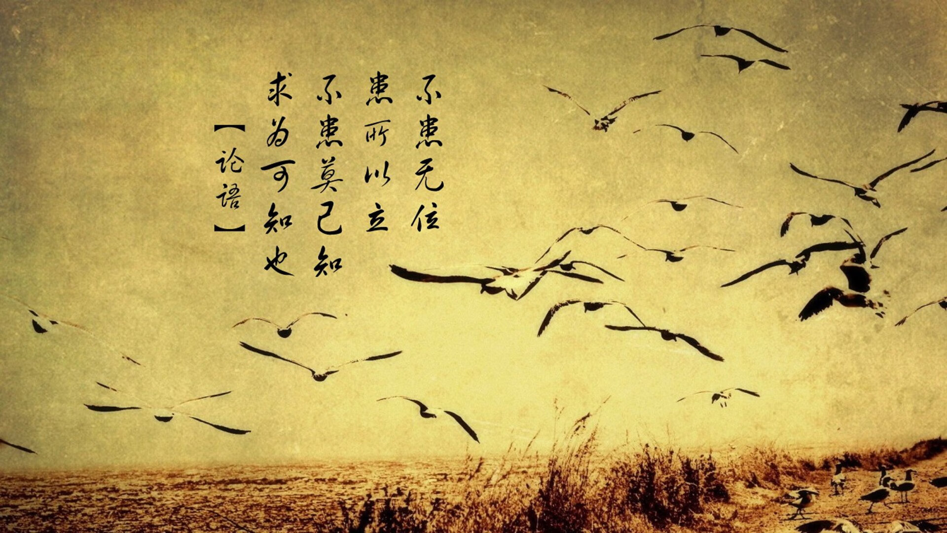 戈麦斯闪耀焦点战,喀麦隆雄狮碾压阿尔及利亚挺进下一轮